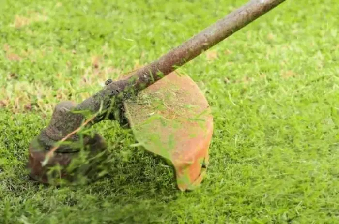 Imagem Ilustrando POWER MAX